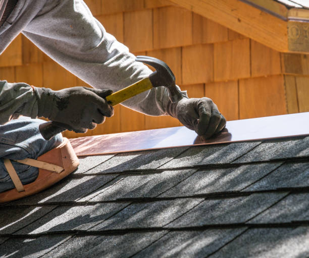 Best Roof Gutter Cleaning  in Berkeley Lake, GA